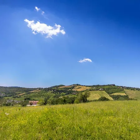 Castel Arienti Halldis